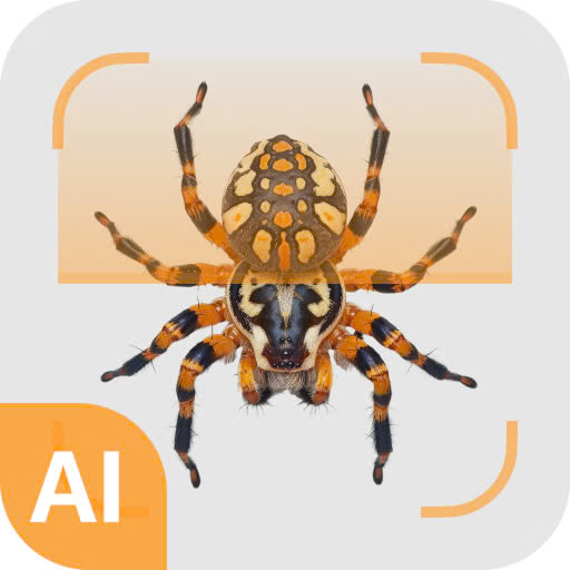 App 6 Icon